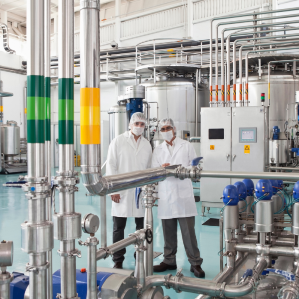 sanitaire elasfor joints ptfe silicone fda sanitary seals